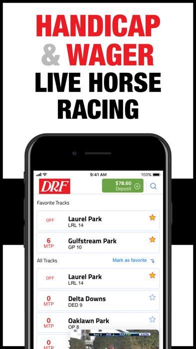 drf horse betting.